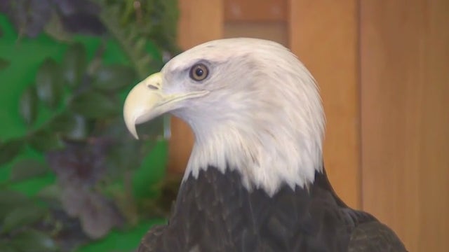 Schlitz Audubon Nature Center; Milwaukee’s comprehensive nature center