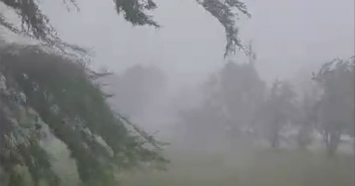 Storms, gusting winds down tree limbs, cause damage in Racine County ...