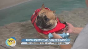 Think Pawsitive Dog Training; classes for dogs