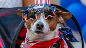 Tips to get anxious pets through Fourth of July fireworks