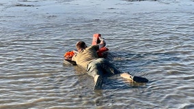 Wildlife officials use rafts made of life jackets to rescue stranded boaters