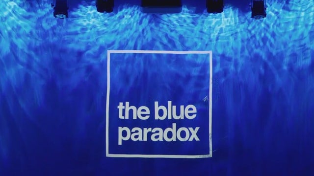 The Blue Paradox; highlighting plastic pollution crisis
