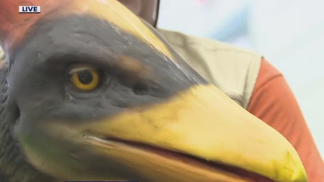 165th Washington County Fair kicks off