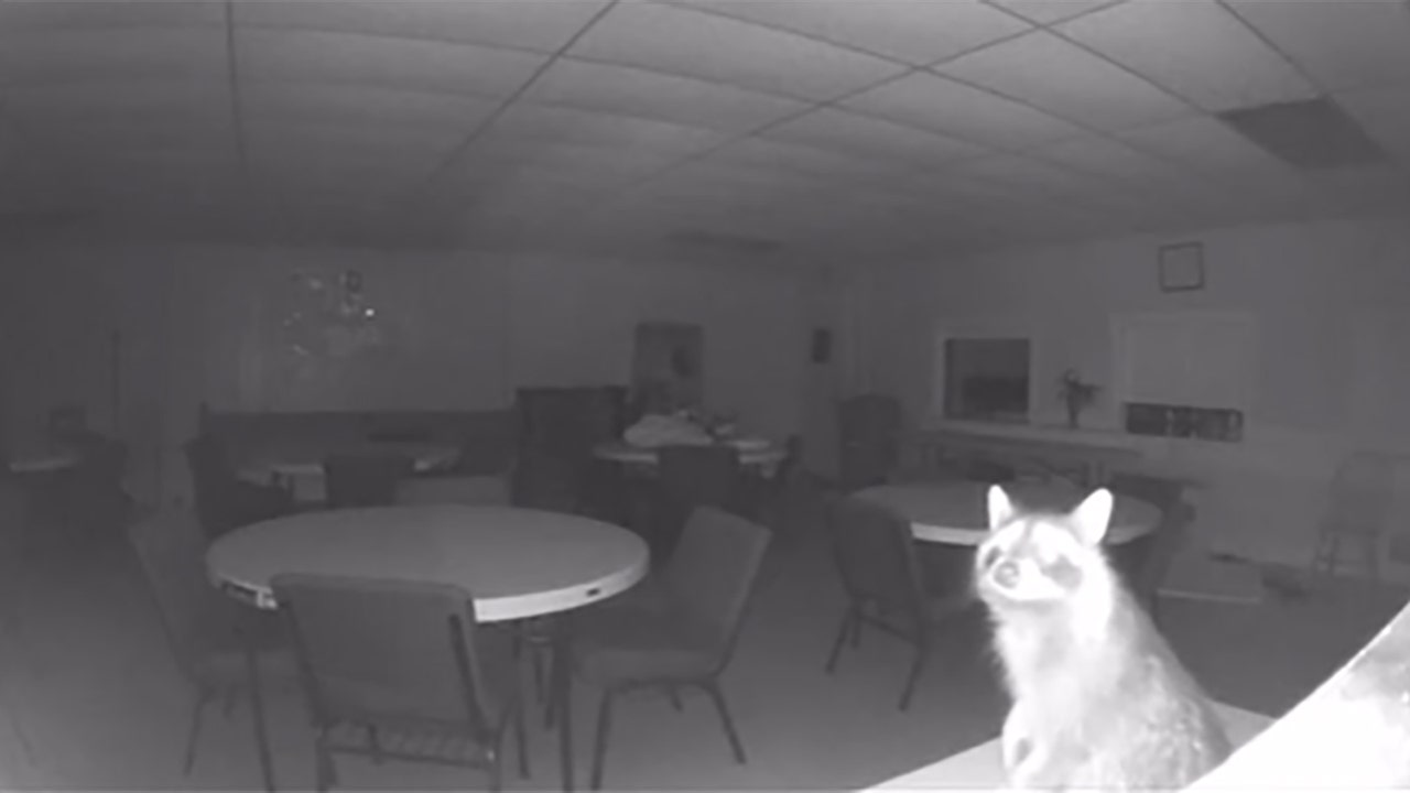 Raccoon breaks into Milwaukee church, caught on camera: ‘Little rascal’