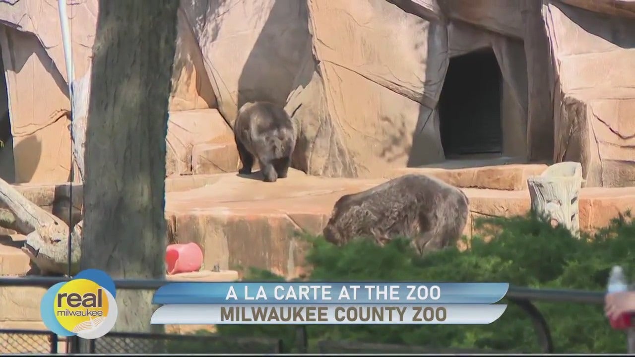 A La Carte At the Zoo; Food, music and animals FOX6 Milwaukee