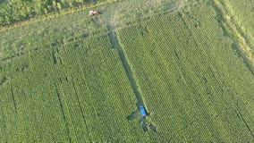 Powered paraglider crash in Taycheedah cornfield