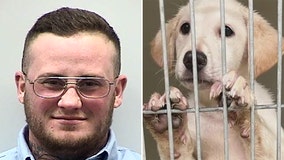 Dogs seized in Washington County, Hubertus man gets probation