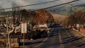 Desperate residents are looting businesses and robbing people at gunpoint, Maui locals say