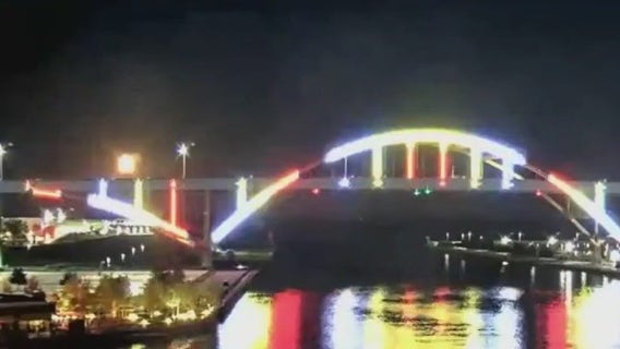 Details on 'Hoanchella'