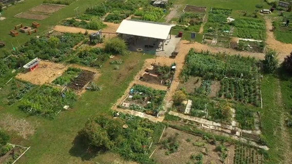 Alice's Garden in Milwaukee; plants, people, perspective thrive
