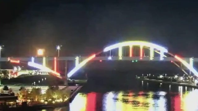 Details on 'Hoanchella'