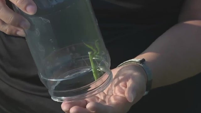 Waukesha County Green Team 2023 Sustainability Fair