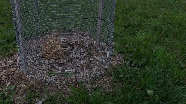 Ozaukee County parks tree thefts 'puzzling,' cameras added
