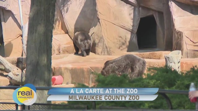 A La Carte At the Zoo; Food, music and animals