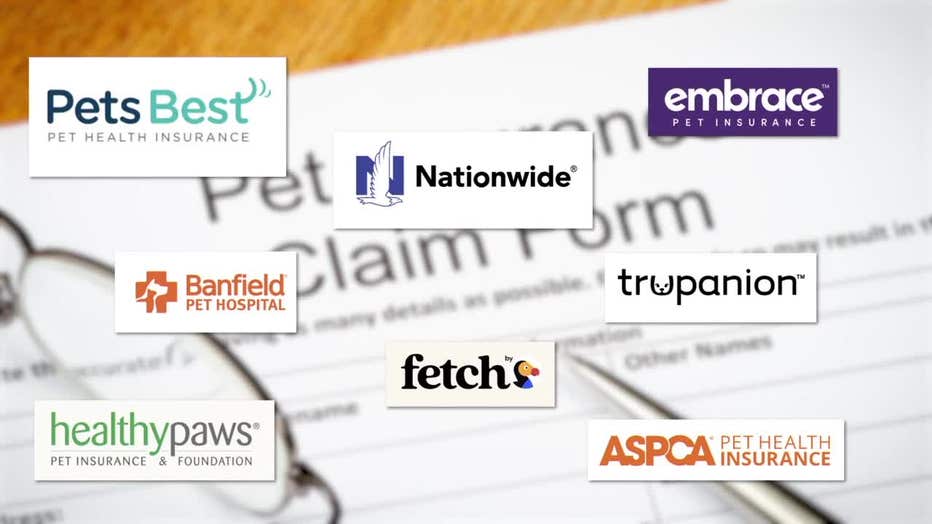 Bestrated pet insurance