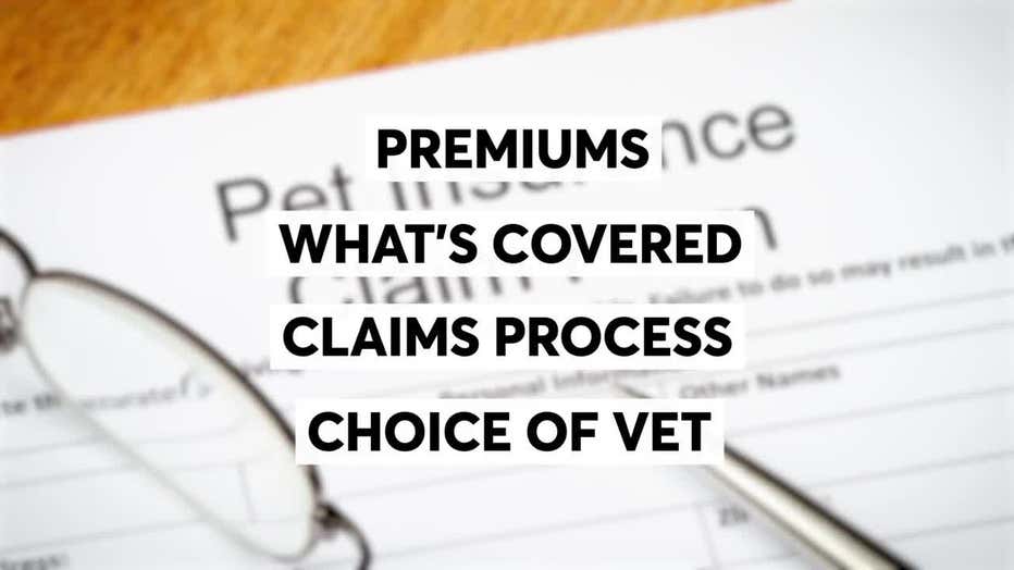 Bestrated pet insurance