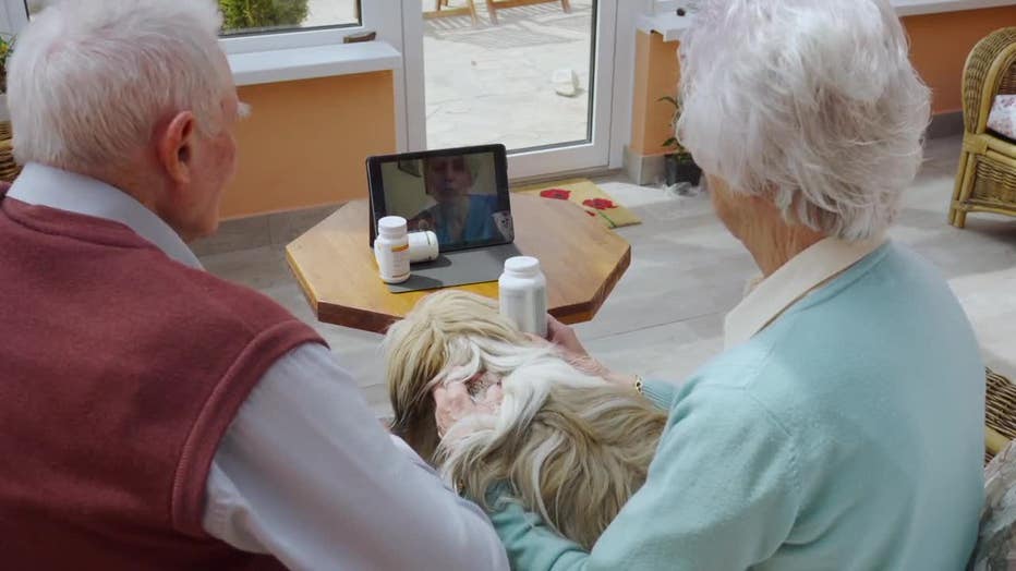 Bestrated pet insurance