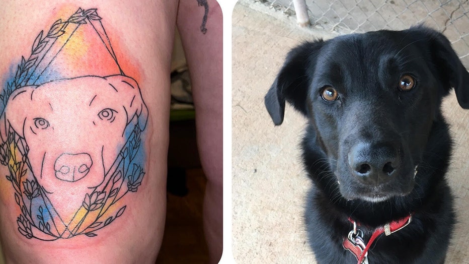 Discover 63 6 dogs tattoos best  incdgdbentre