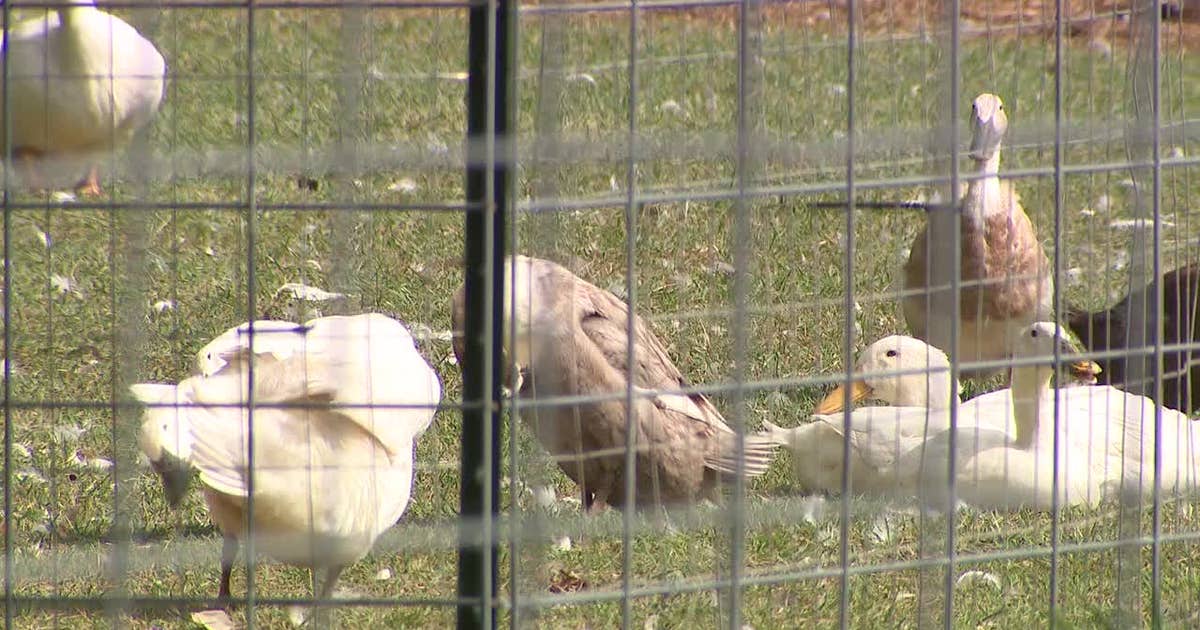 Cedarburg animal rescue; family helps community in unique way | FOX6 ...