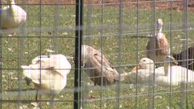 Cedarburg animal rescue; family helps community in unique way