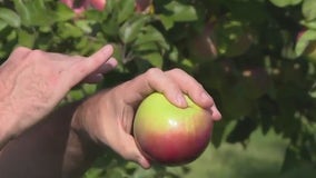 Experiencing the Hunger Task Force Farm