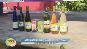 Stroll The Shops of Cedar Creek Settlement during the Wine & Harvest Festival