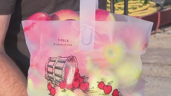 Mequon's Barthel Fruit Farm; apple picking season arrives