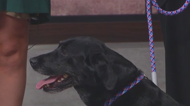The Feed Bag Pet Supply in Mequon