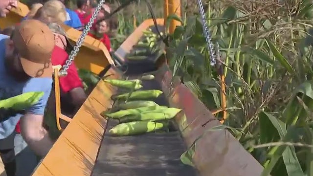 Hunger Task Force Farm; unique 208-acre farm