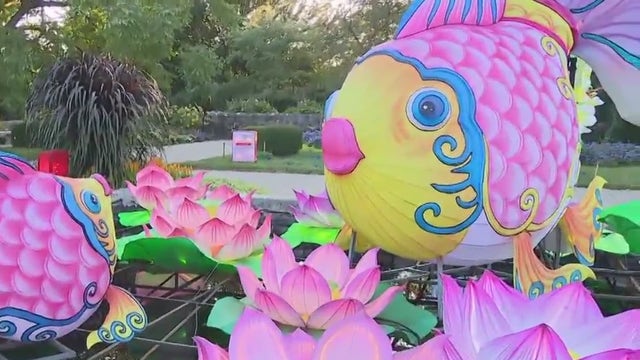 China Lights back at Boerner Botanical Gardens