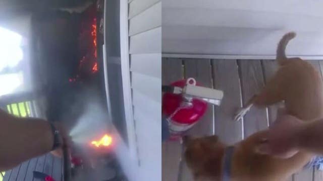 Fond du Lac County deputy extinguishes fire, rescues dog