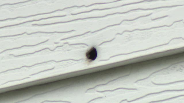 Milwaukee woman's home shot up; fear forced her family into hiding