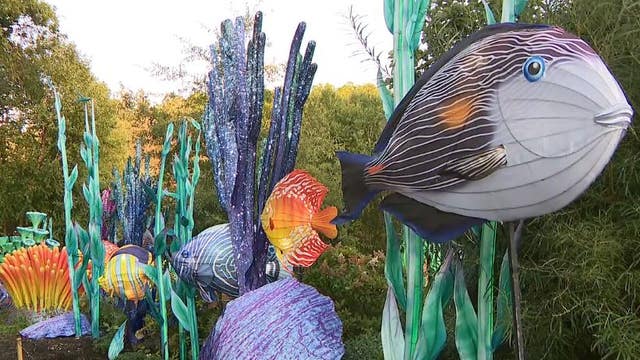 2025 China Lights returns to Boerner Botanical Gardens; Sept. 12- Nov. 2