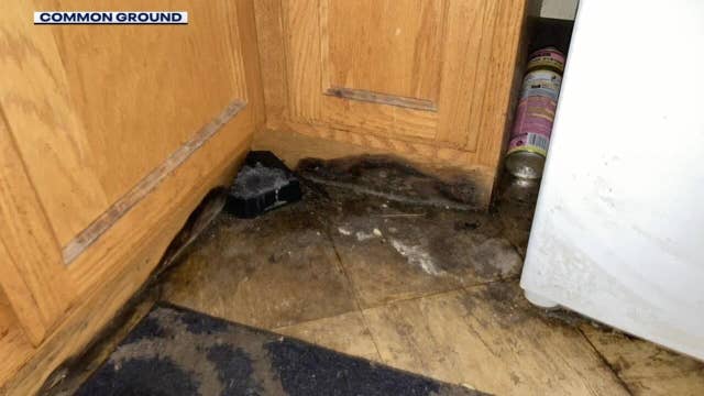 Milwaukee Housing Authority could be regulated by the city vs. itself