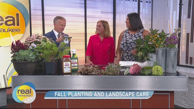 Fall planting and landscape care