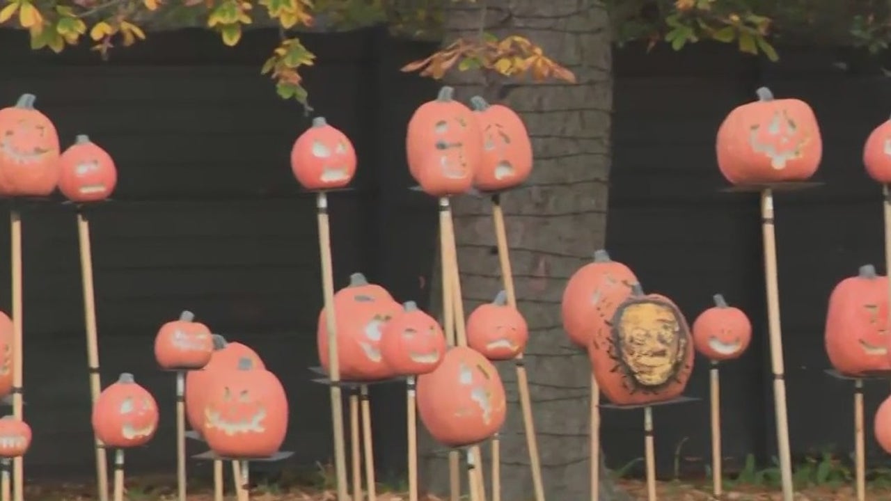 Racine Zoo’s ‘Boo at the Zoo,’ a great way to trickortreat