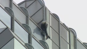 'Pro-life Spiderman' charged after scaling Chicago skyscraper