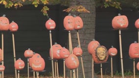 Racine Zoo's 'Boo at the Zoo,' a great way to trick-or-treat