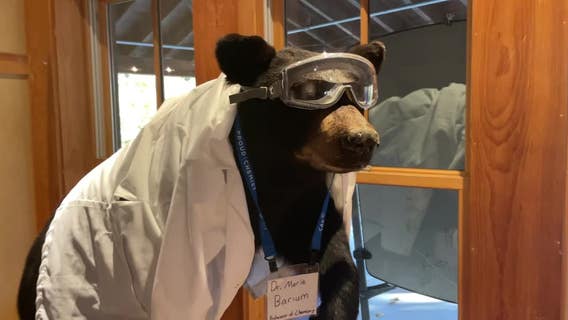 Schlitz Audubon 'Species Spooktacular' showcases animals, foliage