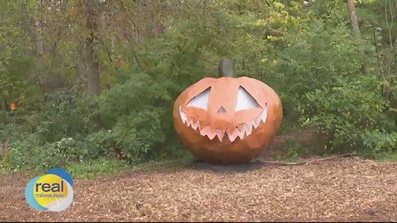 The Hollows at Phantom Lake YMCA; Enjoy nature at night