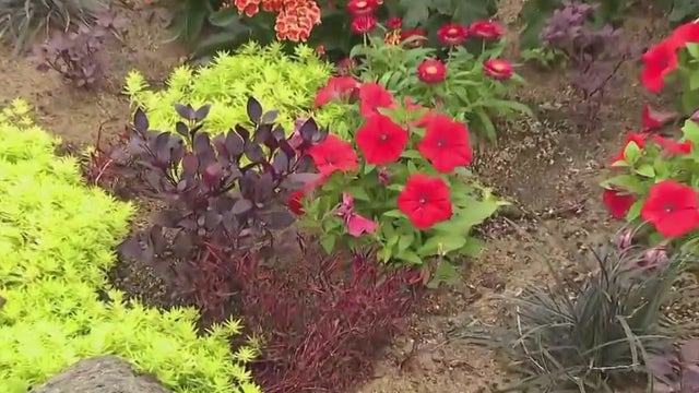 Día de Los Muertos at Mitchell Park Domes