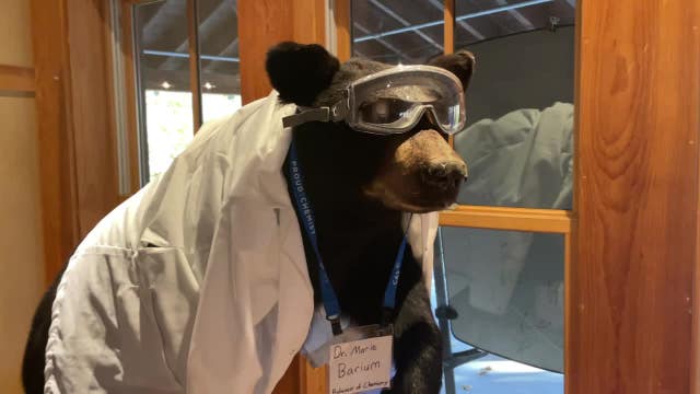 Schlitz Audubon 'Species Spooktacular' showcases animals, foliage