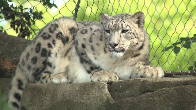 Milwaukee County Zoo free day; families explore, new animals