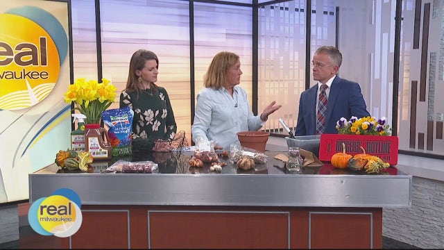 Tips for planting spring flowering bulbs