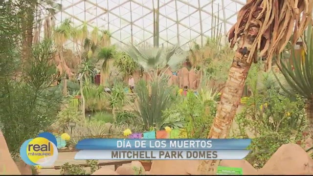 Día de los Muertos at the Domes