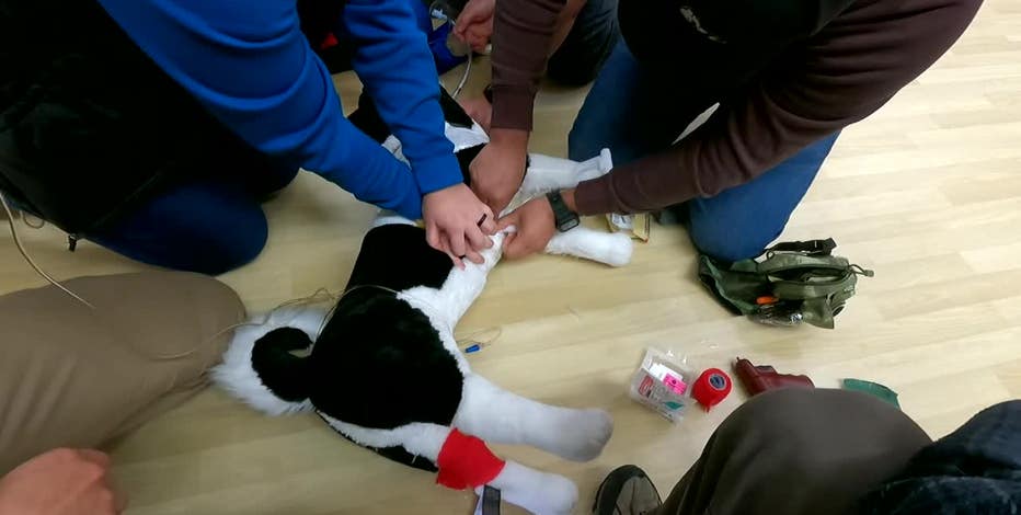 Wisconsin K-9 medic class, first responders trained to help partners