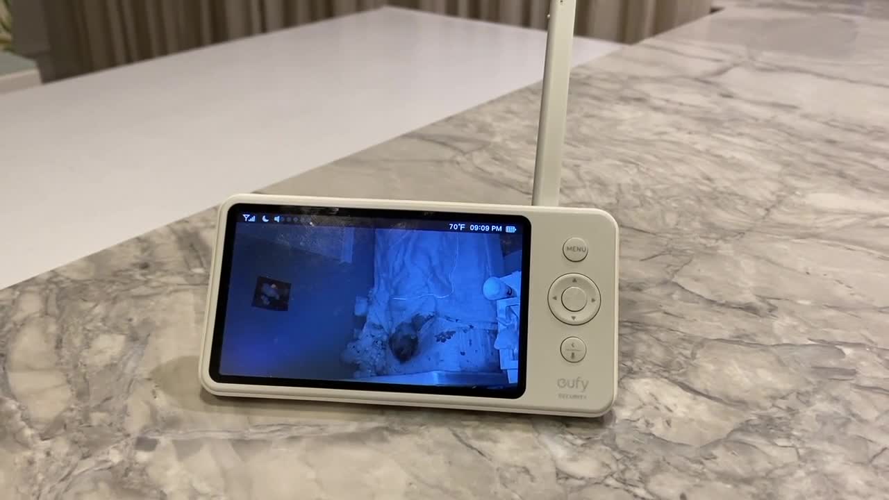 Baby monitors and nanny cams