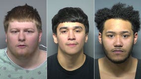 Waukesha armed carjacking, police chase; 3 men charged