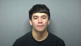 Waukesha carjacking, police chase; Andrew Hibbs Magruder sentenced