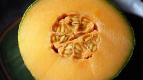 Cantaloupe salmonella outbreak causes deaths, illnesses across 32 states